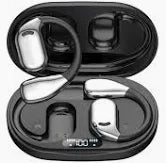 Wireless Translator Earbuds